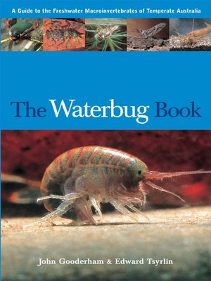 cover image of The Waterbug Book